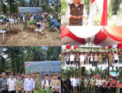 Disaksikan Menhut, Gubernur, Kapolda, Pangdam XIX, dan Kajati Riau, Penumbangan Sawit Awali Pemulihan Tesso Nilo