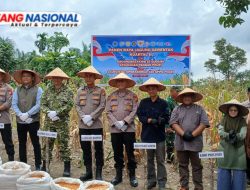 Kapolsek Kampar AKP Asdisyah MursyidAntar Langsung Hasil Panen Petani ke Bulog, Wujud Nyata Dukungan Ketahanan Pangan Nasional